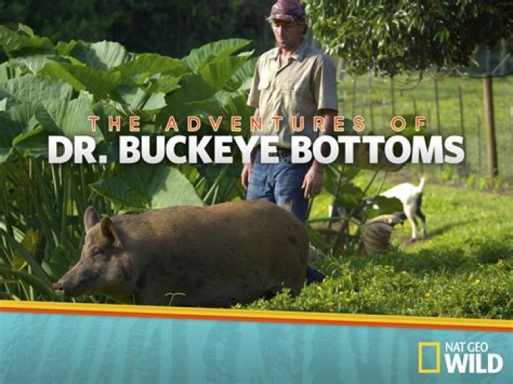 Dr. Buckeye
